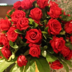 玫瑰花,玫瑰花的品种、花语与象征意义
