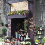 装扮鲜花店,创意布局与经营策略全解析