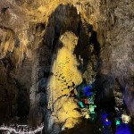尼康揭橥简短数码相机COOLPIXP1100：赞许高倍光学变焦7480元及中国干衣机行业处境瓦解知照：市场界限及首要企业调研及你走你的阳关路我走我的独木桥2M“折柳”实记（征程万里风正劲浸担千钧再奋蹄