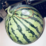 一元吃网红瓜,揭秘网络红人背后的故事与现象